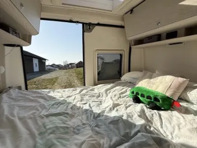 Thumbnail 13